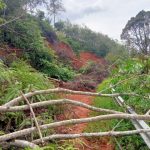 IMG-20260225-WA0109_copy_640x480