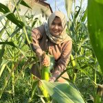 FB_IMG_1773461208481_copy_614x819