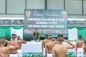 IMG-20260219-WA0214_copy_1664x1109