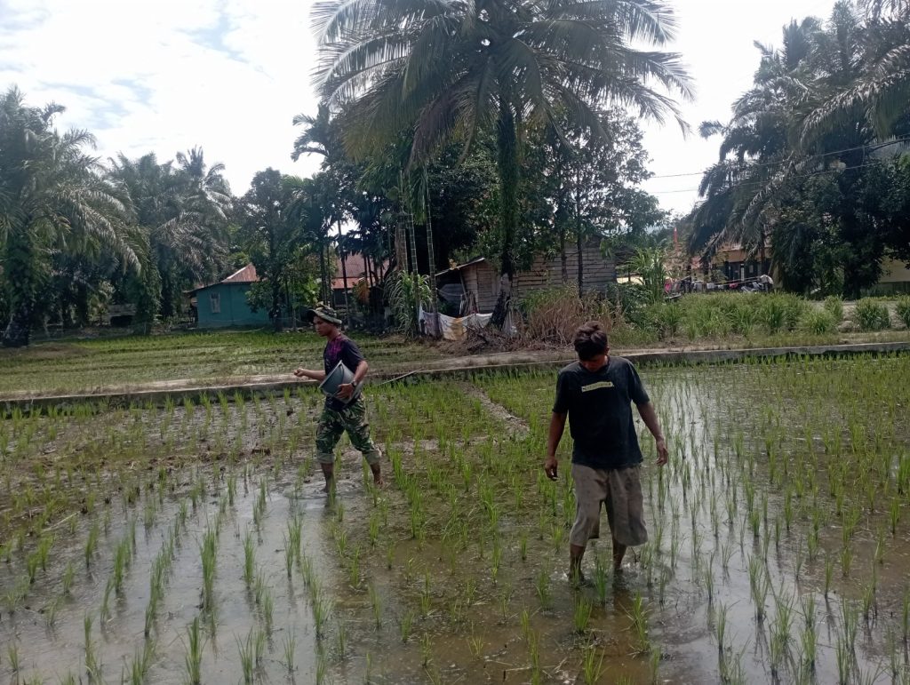 IMG-20260220-WA0025_copy_1632x1228