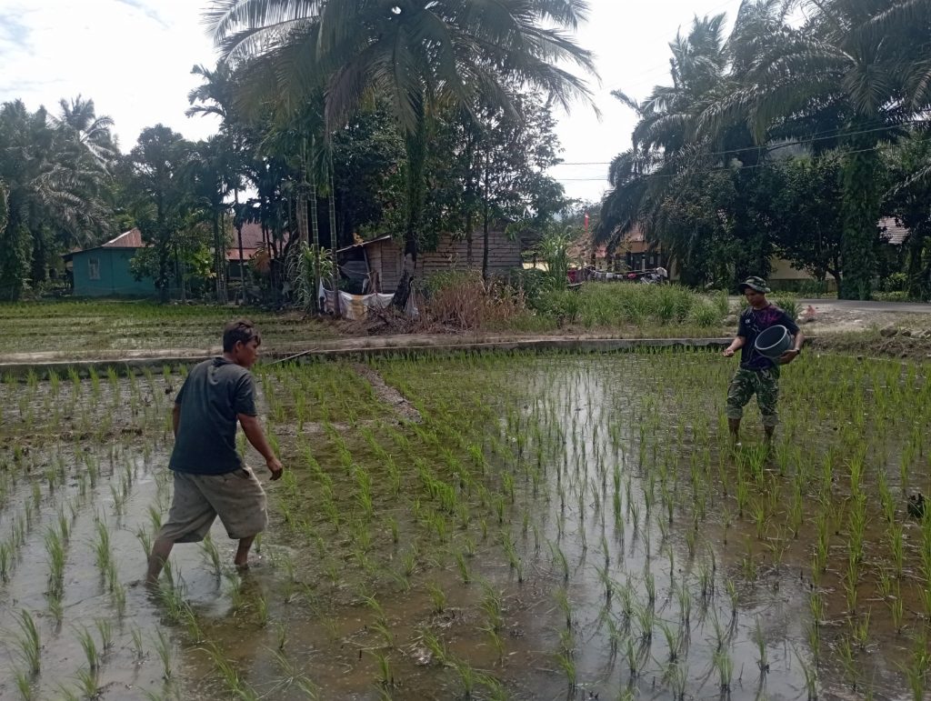 IMG-20260220-WA0031_copy_1632x1228