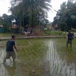 IMG-20260220-WA0031_copy_1632x1228