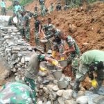 IMG-20260401-WA0046_copy_512x385_1